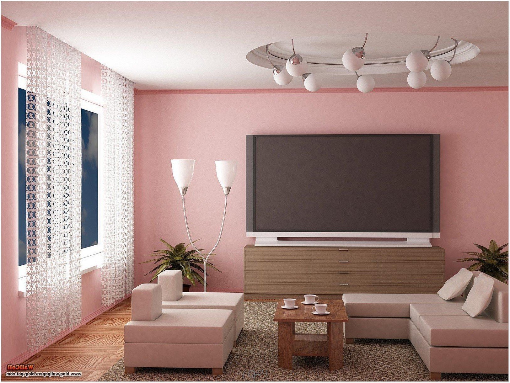 Living Room Wall Colour Combination With White